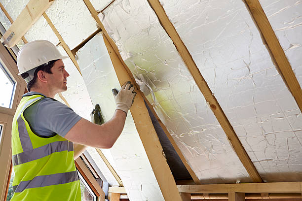 Best Insulation Maintenance and Repair in Monongah, WV